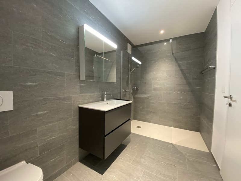 Habitation Moderne - Appartement 2,5 Pièces (5)
