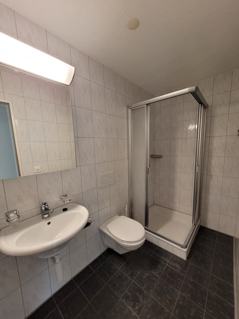 Charmante 4.5-Zimmer-Dachwohnung (7)