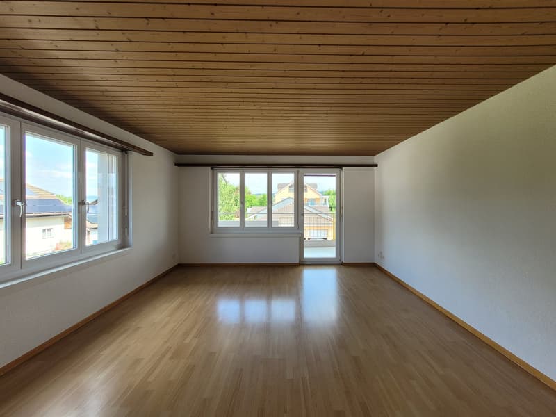 Appartement en vieille construction de 3 pièces dans un endroit calme (3)