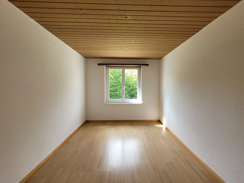 Appartement en vieille construction de 3 pièces dans un endroit calme (5)