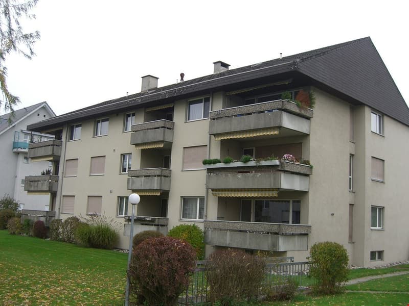 Affordable 4.5-room apartment with balcony in Gunzgen (7)