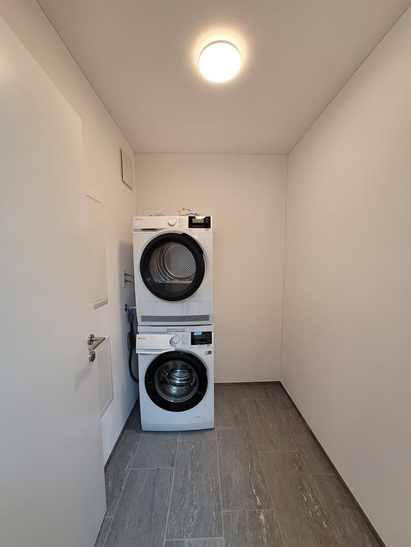Modern Wohnen - 4 1/2-Zimmer-Wohnung (6)