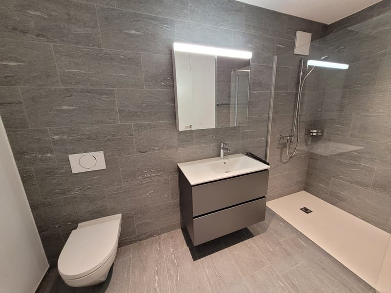 Modern Wohnen - 4 1/2-Zimmer-Wohnung (4)