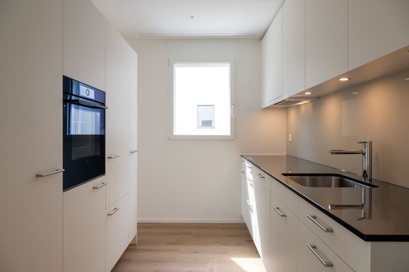 4.5 Zimmerwohnung mit Balkon und unverbaubarer Aussicht (3)