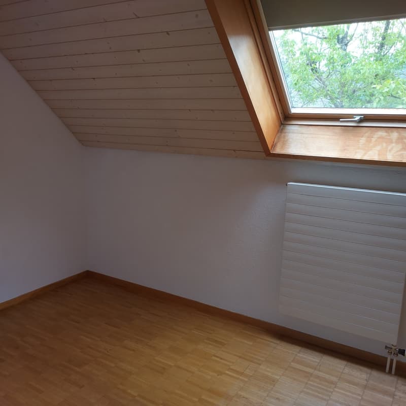 Charmante 3-Zimmer-Maisonette-Wohnung in Rickenbach SO (4)