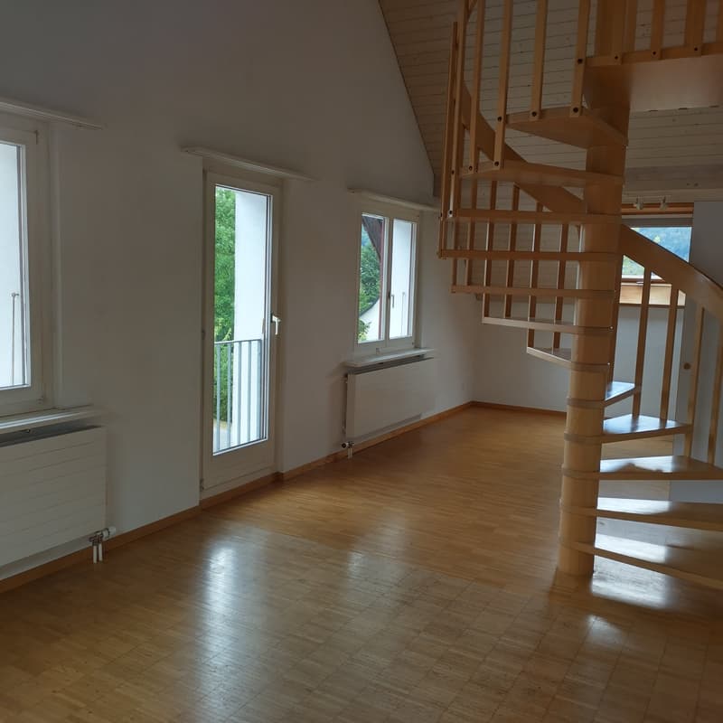 Charmante 3-Zimmer-Maisonette-Wohnung in Rickenbach SO (1)