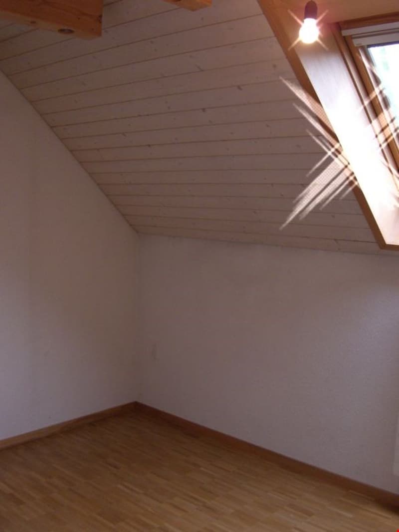 Charmante 3-Zimmer-Maisonette-Wohnung in Rickenbach SO (7)