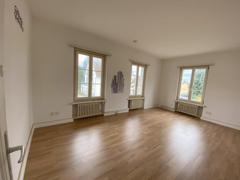 2,5-Zimmerwohnung im Zentrum (4)