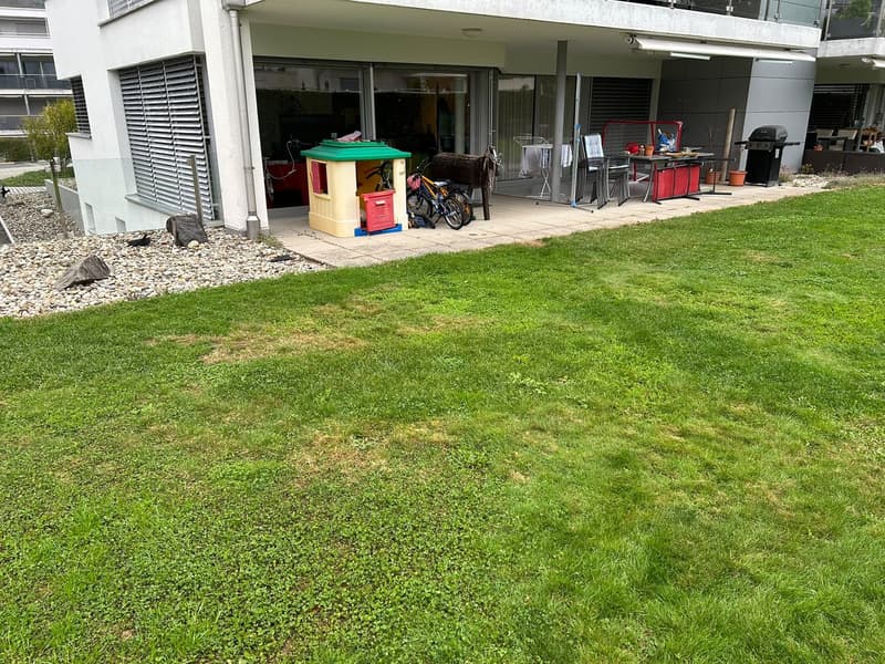 Geräumige 4.5-Zimmer-Wohnung im Erdgeschoss in Hägendorf (1)