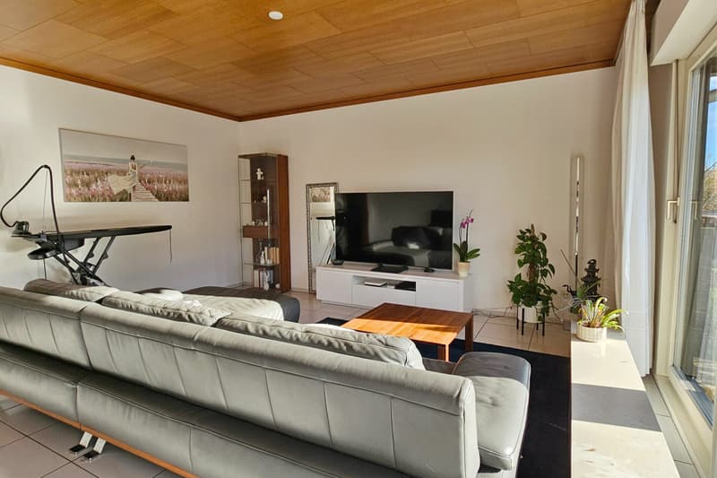Casa unifamiliare ai margini del bosco (3)