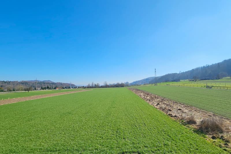 Appartamento tra la Limmat e il margine della foresta con vista panoramica (10)