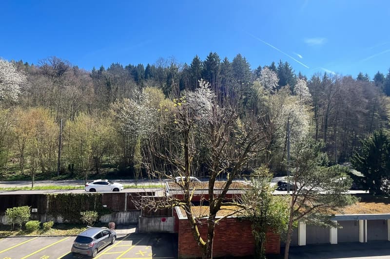 Appartamento con balcone e vista sulla zona verde vicino al Dättwiler Weiher (11)