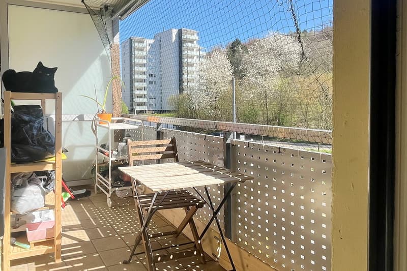 Appartamento con balcone e vista sulla zona verde vicino al Dättwiler Weiher (10)