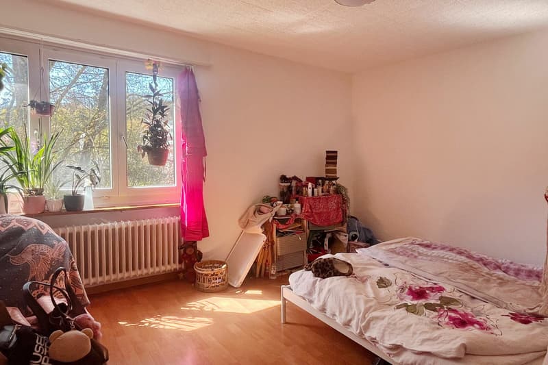 Appartamento con balcone e vista sulla zona verde vicino al Dättwiler Weiher (7)