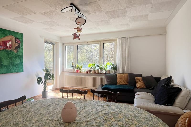Appartamento con balcone e vista sulla zona verde vicino al Dättwiler Weiher (3)