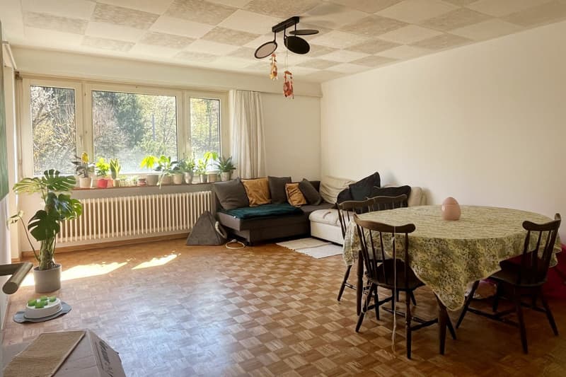 Appartamento con balcone e vista sulla zona verde vicino al Dättwiler Weiher (2)