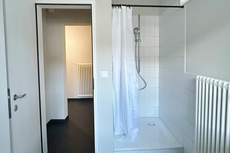Modernes Wohnen nahe Zürich - perfekt für zwei (7)