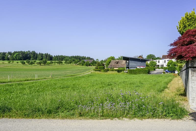 Building land with a view of the Alps (7)
