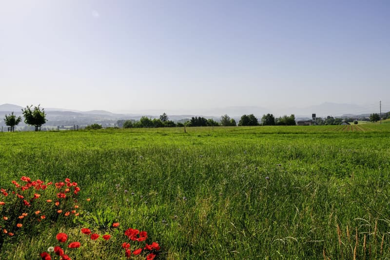 Building land with a view of the Alps (1)