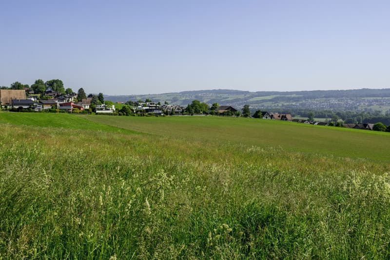 Building land with a view of the Alps (9)