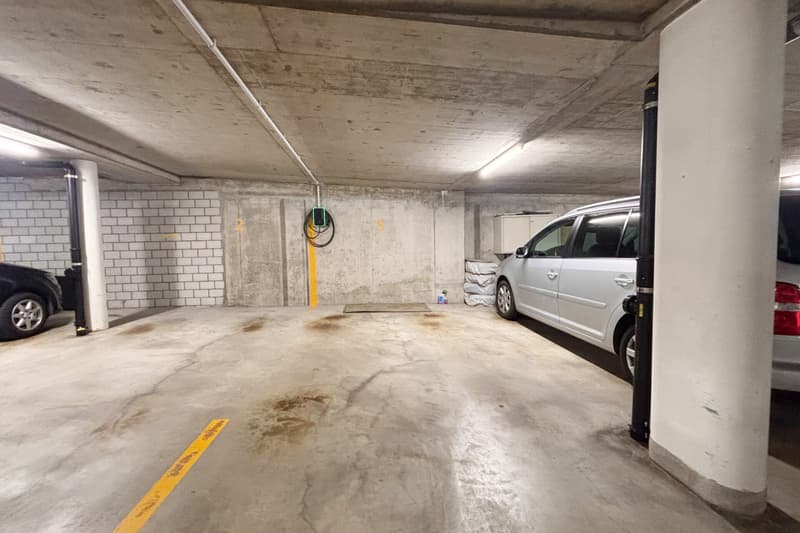 Centrally located ground floor apartment with garden (13)