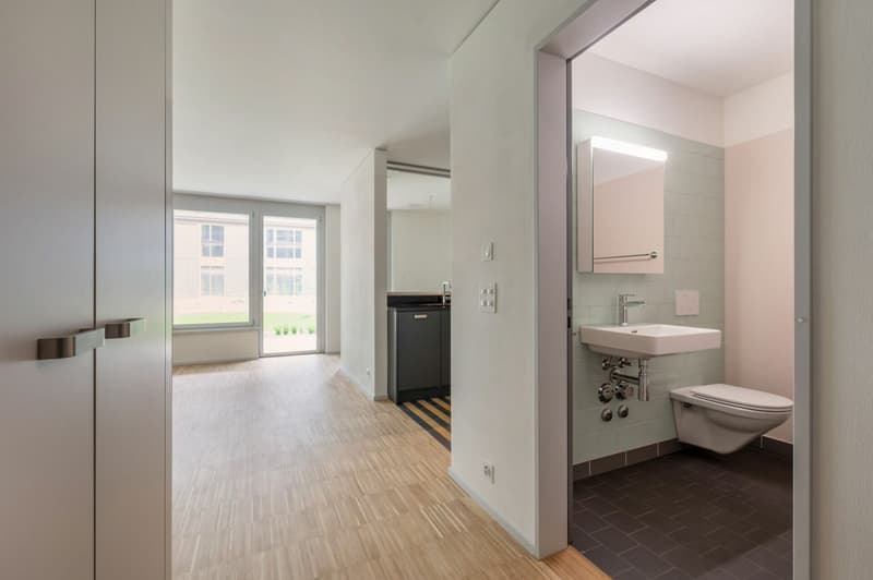 Appartement 1,5 pièces au rez-de-chaussée (8)