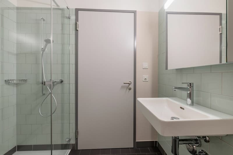 Appartement 1,5 pièces au rez-de-chaussée (9)