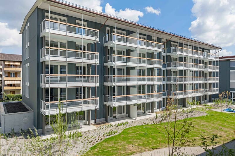 Appartement 1,5 pièces au rez-de-chaussée (1)