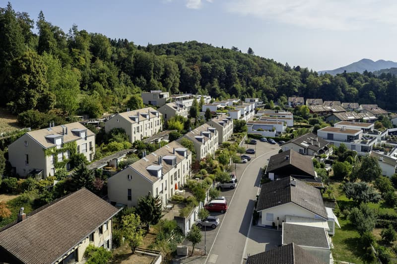 Casa a schiera vicino al margine del bosco nel quartiere Segelhof (2)