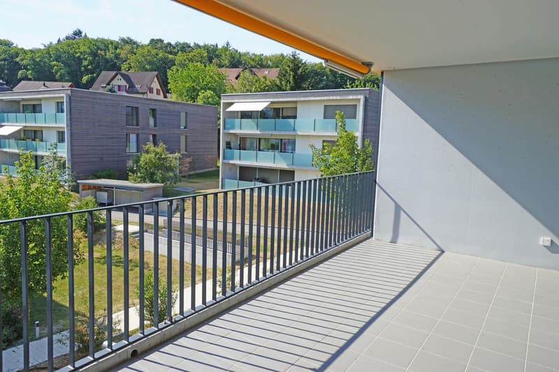 2.5 Zimmer Wohnung in der Nähe des Hallwilersees (7)