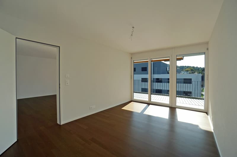 2.5 Zimmer Wohnung in der Nähe des Hallwilersees (5)
