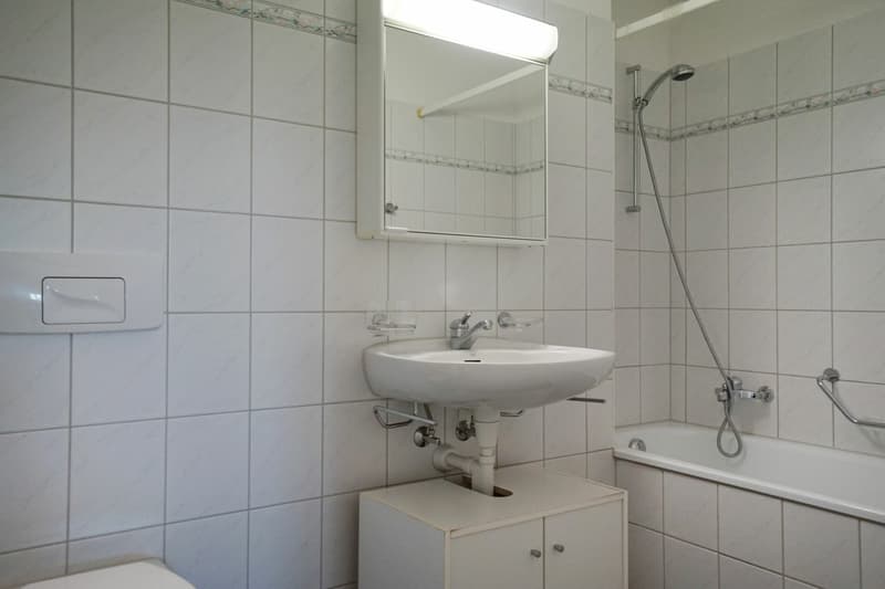 4.5 Zimmer Familienwohnung (5)