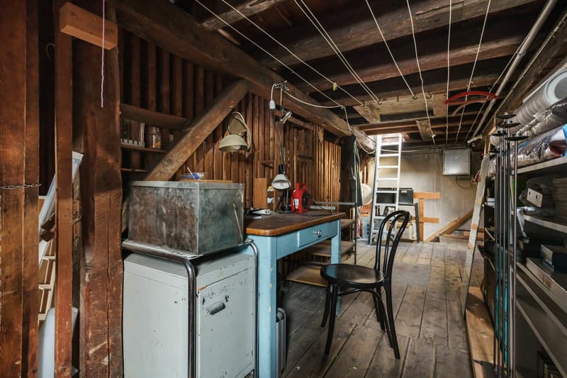 Zentralgelegene Wohnung und Gewerbeflächen im Kreis 5 (11)