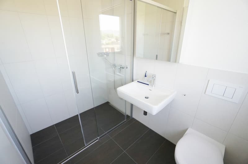 2.5 Zimmer Wohnung in der Nähe des Hallwilersees (6)