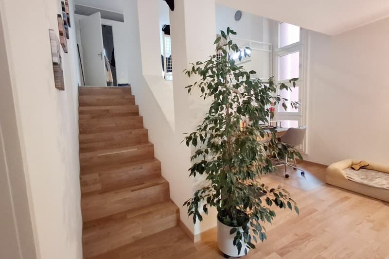 Wohnung am Waldrand mit guter Verkehrsanbindung (6)