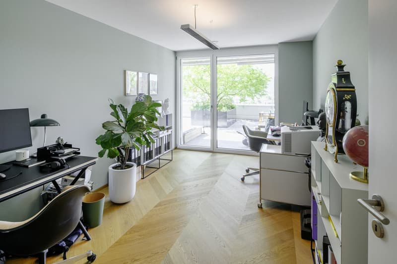 Terrassenwohnung mit Panoramablick bis in die Alpen (7)