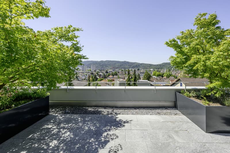 Terrassenwohnung mit Panoramablick bis in die Alpen (10)