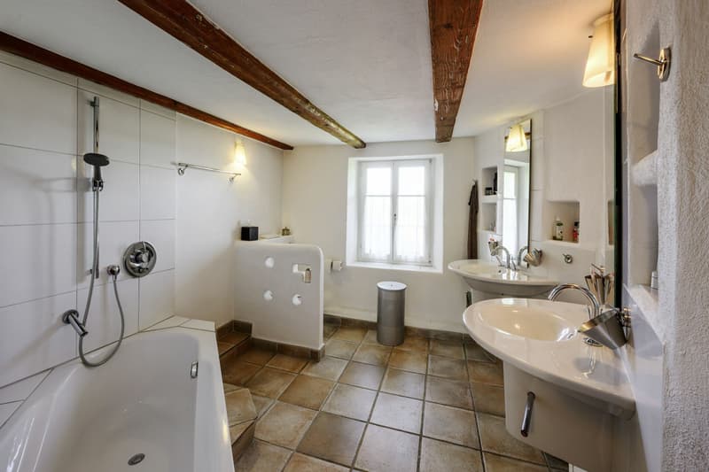 Bauernhaus am Waldrand mit Schwimmteich und eigener Quelle (9)