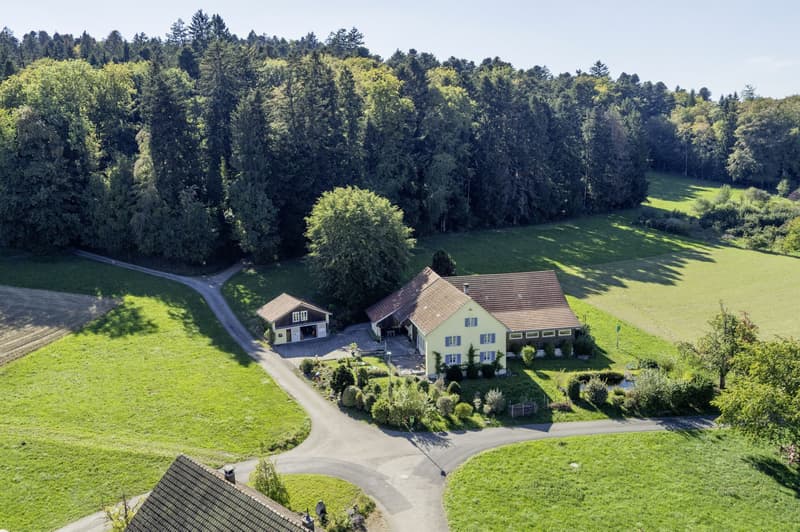Bauernhaus am Waldrand mit Schwimmteich und eigener Quelle (15)