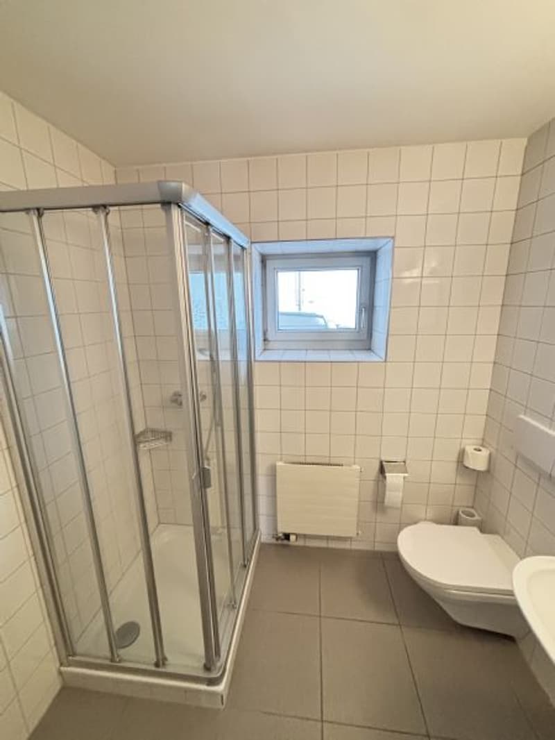 1,5 Pièces - Appartement Loft à Louer (4)