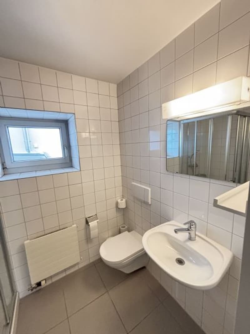 1,5 Pièces - Appartement Loft à Louer (5)