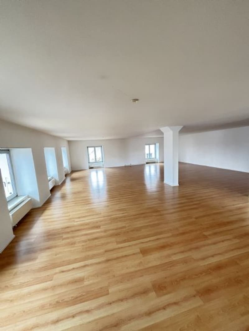 1,5 Pièces - Appartement Loft à Louer (2)