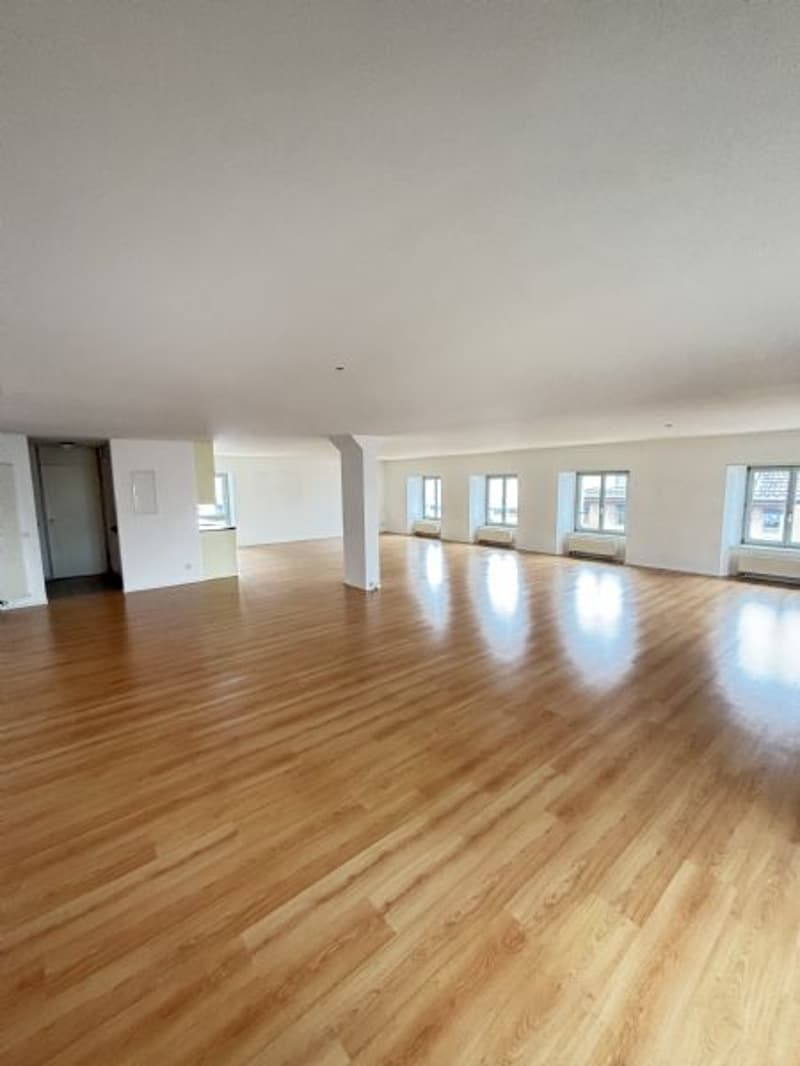 1,5 Pièces - Appartement Loft à Louer (3)