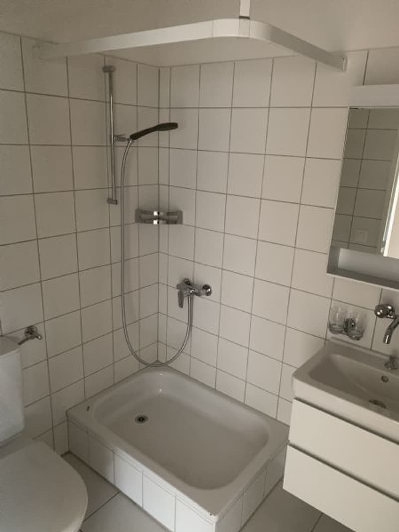1 appartement à louer (5)