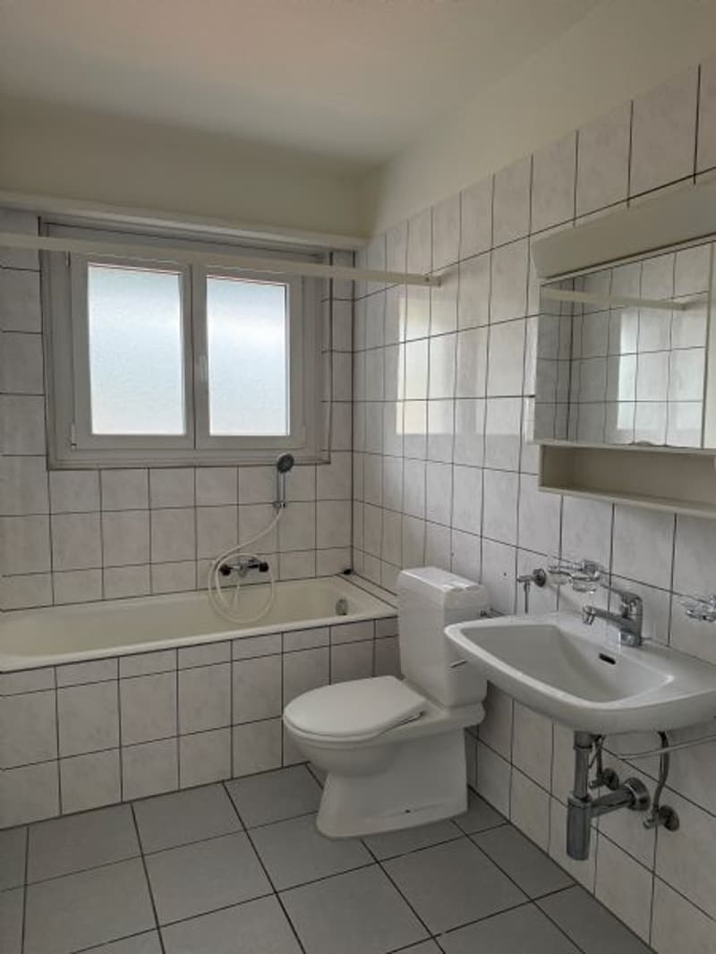 Grand et lumineux appartement 4 pièces à louer dans un emplacement central (7)