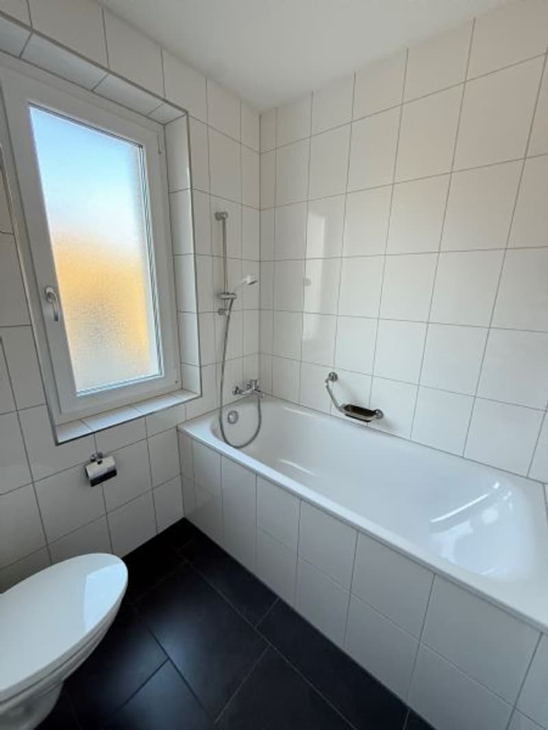 Sanierte und helle 3-Zimmerwohnung nähe Allmend Bahnhof zu vermieten (7)