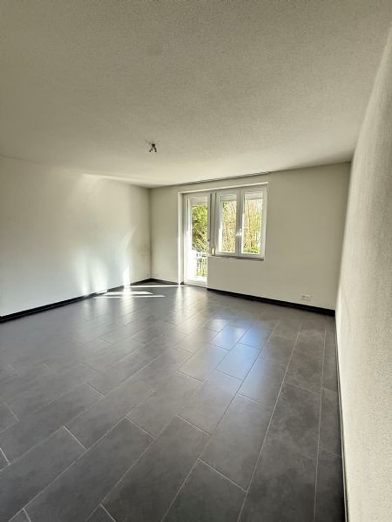 Sanierte und helle 3-Zimmerwohnung nähe Allmend Bahnhof zu vermieten (4)
