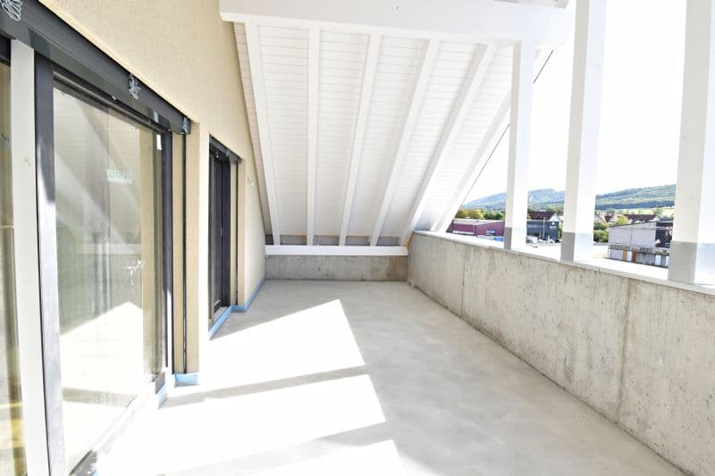 Appartement lumineux et spacieux de 3.5 pièces dans un excellent emplacement (5)