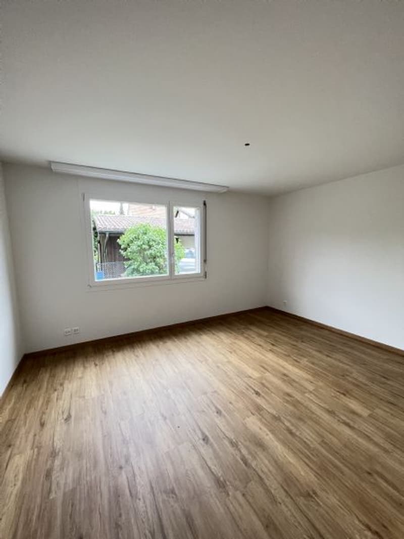 Spacious and bright 3-room apartment for rent (3)