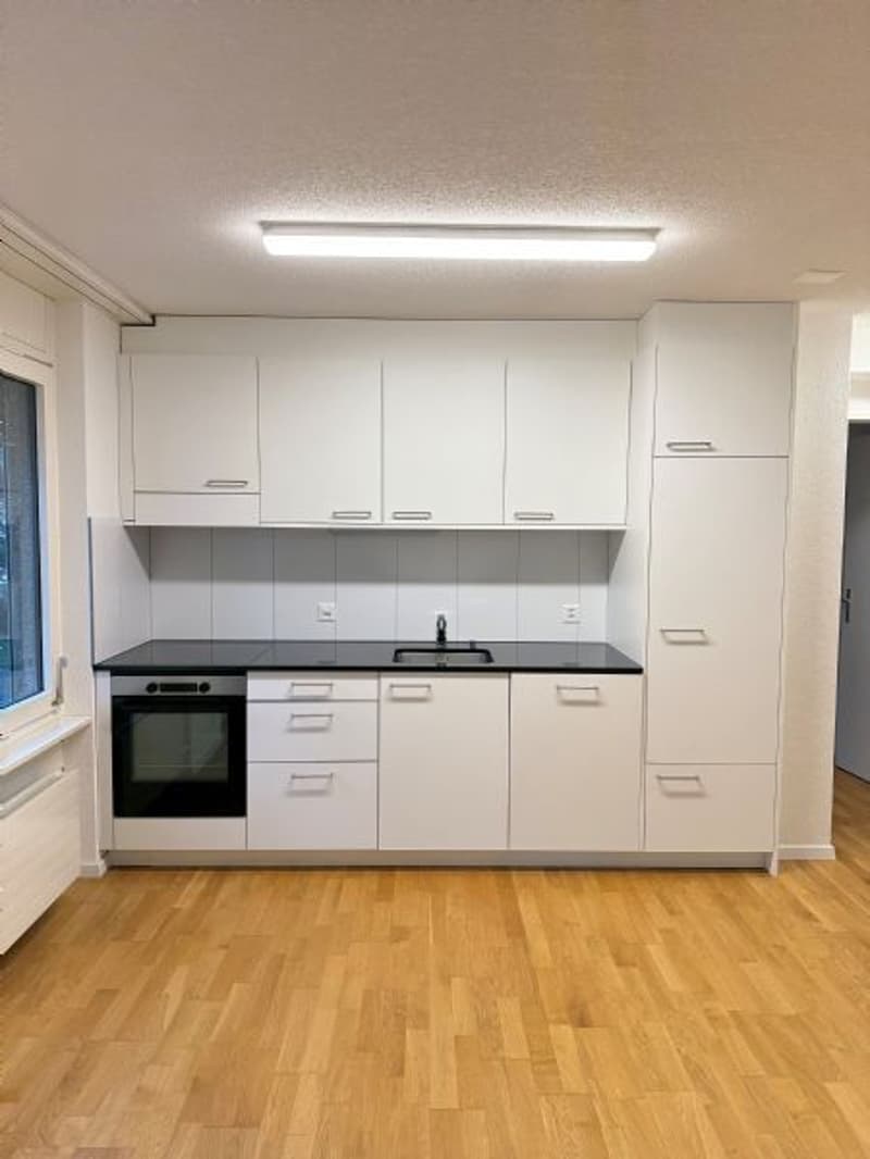 Appartement 2 pièces totalement rénové (2)